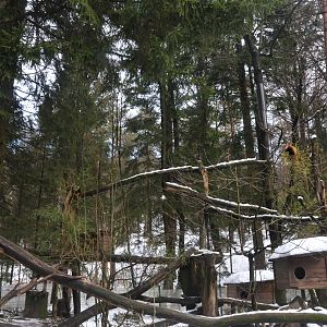 Red Panda Enclosure at Ljubljana Zoo, 07/03/18