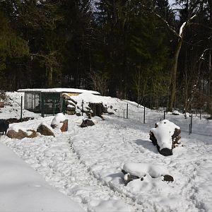 Wild Boar Paddock at Ljubljana Zoo, 07/03/18