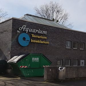 Reptile house  and aquarium