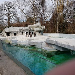 Penguin pool