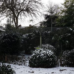 Ocelot-enclosure in the snow