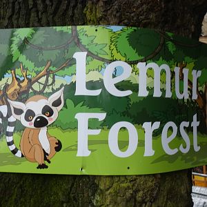 Lemur Forest Signage