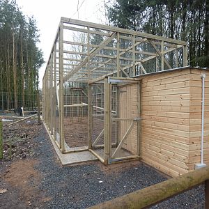 Ring-tailed Lemur Holding Area