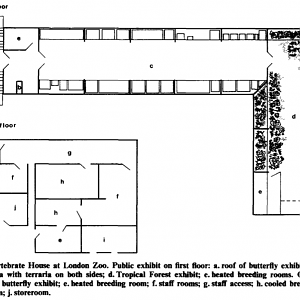 Old Insect House Map