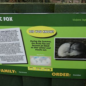 Arctic Fox Signage