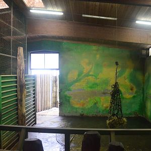 Elephant House Interior at Ljubljana Zoo, 07/03/18