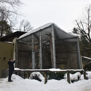Primate House (Gibbon Enclosure) at Ljubljana Zoo, 07/03/18