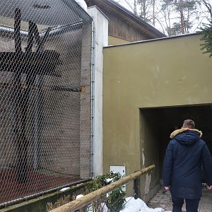 Primate House (Entrance and Corner of Chimp Enclosure) at Ljubljana Zoo, 07/03/18