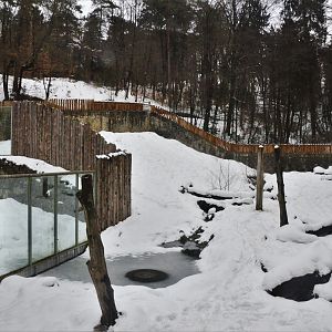 Brown Bear Enclosures at Ljubljana Zoo, 07/03/18