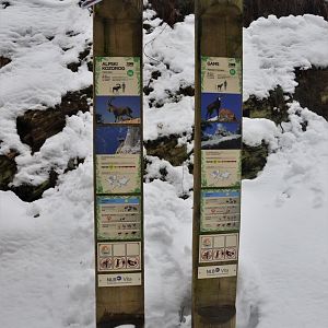 Signage Example at Ljubljana Zoo, 07/03/18