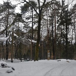 Night Heron and Black Stork Aviary at Ljubljana Zoo, 07/03/18