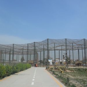 Walk-thru aviary - Peshawar Zoo 11/3/2018