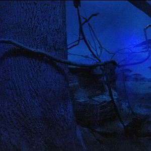 Jan. 2018 - Night Hunters - Aardvark + Greater Bushbaby + Indian Flying Fox Exhibit (Panorama)