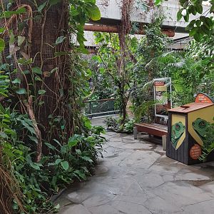 Reptile house interior