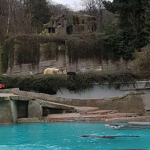 Sealion pool, polar bear and ibex montain
