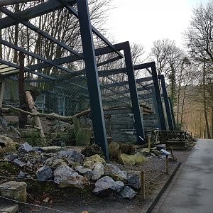 Snow leopard enclosure