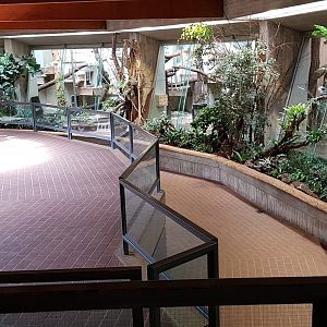 Interior of great apes house