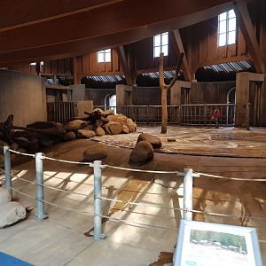 Interior of African elephant house