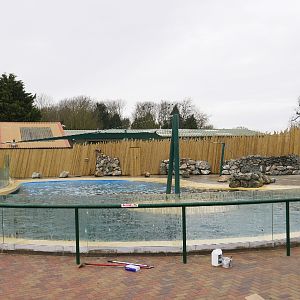 Sealion Pool 1