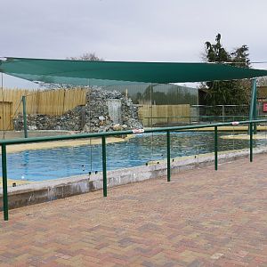 Sealion Pool 5