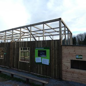 African Civet Enclosure