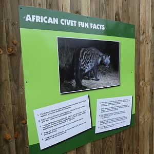 African Civet Signage