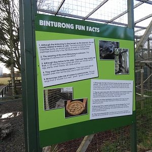 Binturong Fact Signage