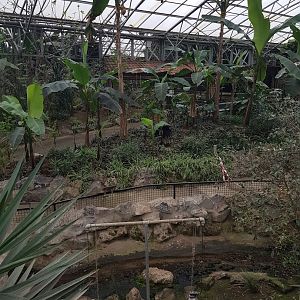 View into the Tropical Hall