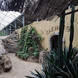 Toilets in the Tropical Hall