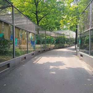 Aviaries
