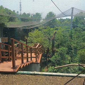 Walkthrough Hornbill Exhibit