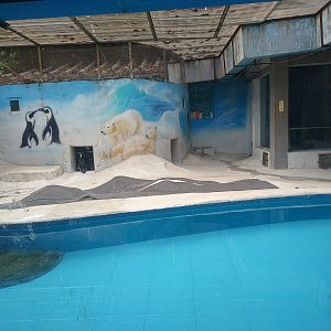 Penguin Pool