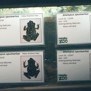 Signs in Amphibian Ark, March 2018