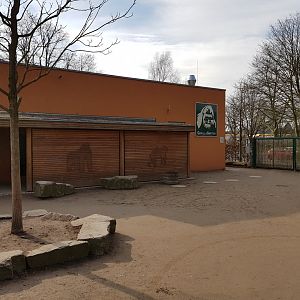 Gorilla garden enclosure indoor accommodation