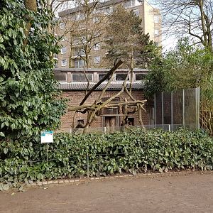 Tree kangaroo enclosure