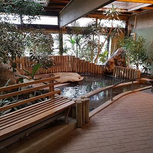 Indoor pygmy hippo accommodation