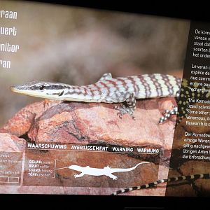 Sign Glauert's monitor