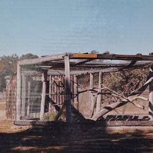 One of the original aviaries about 1979