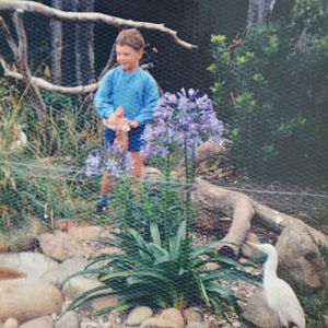 Egret aviary  Mugga Lane zoo