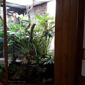 Enclosure San Francisco garter Snake