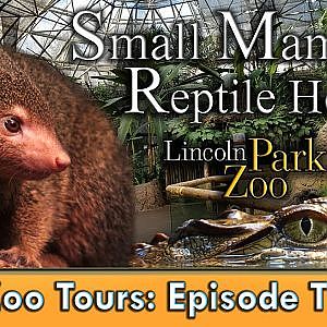Zoo Tour: Small Mammal-Reptile House