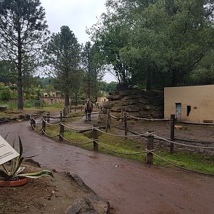 Camel-enclosure