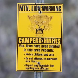 Mountain Lion Warning Sign