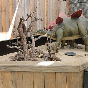 Tortoise - Iguana enclosure