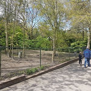 European crane - Goose-enclosure