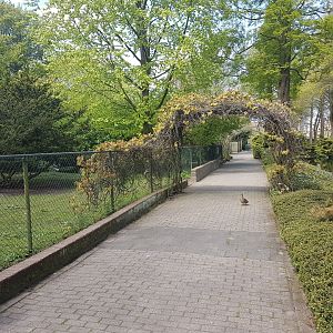 Path along Wader-enclosures