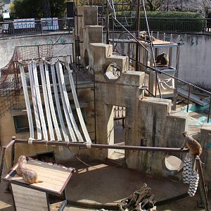 Exhibit for rhesus macaque