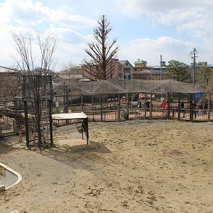Giraffe/zebra exhibit