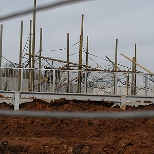 MORE Chimp Eden Developments