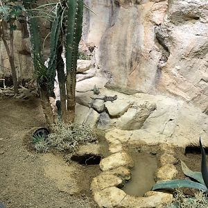 Example terrarium 270118